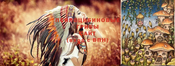 круглые Аркадак