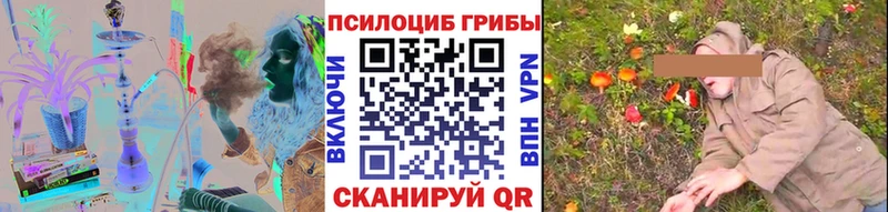 Галлюциногенные грибы Psilocybine cubensis  Чудово 
